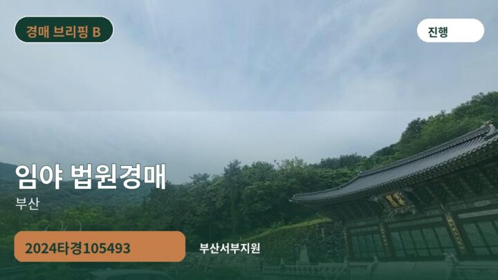 부산 임야 법원경매 | 2024타경105493