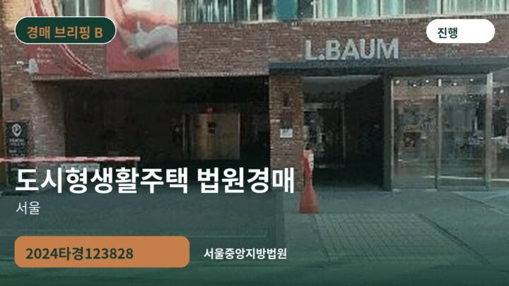 서울 도시형생활주택 법원경매 | 2024타경123828