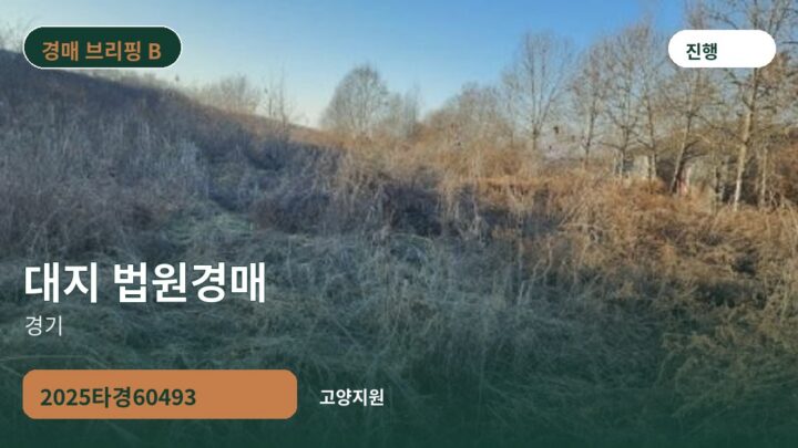 경기 대지 법원경매 | 2025타경60493