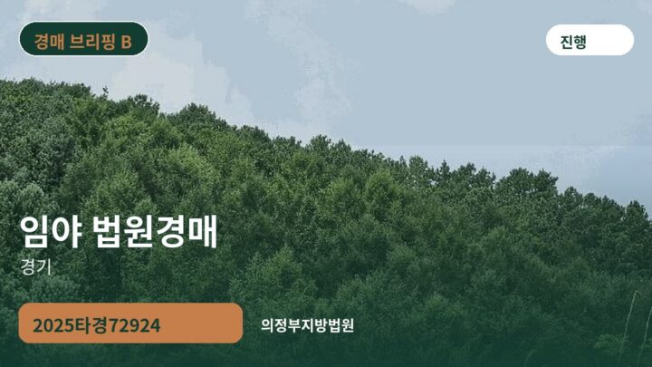 경기 임야 법원경매 | 2025타경72924