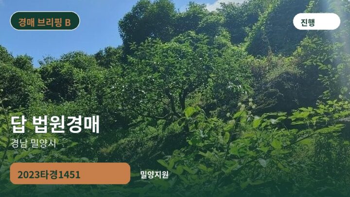 경남 밀양시 답 법원경매 | 2023타경1451