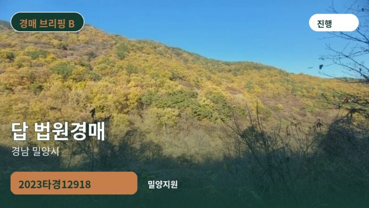 경남 밀양시 답 법원경매 | 2023타경12918